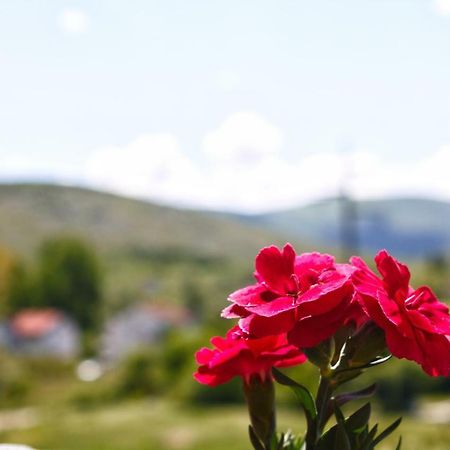 Apartmani S.Kilaci Blagaj Extérieur photo